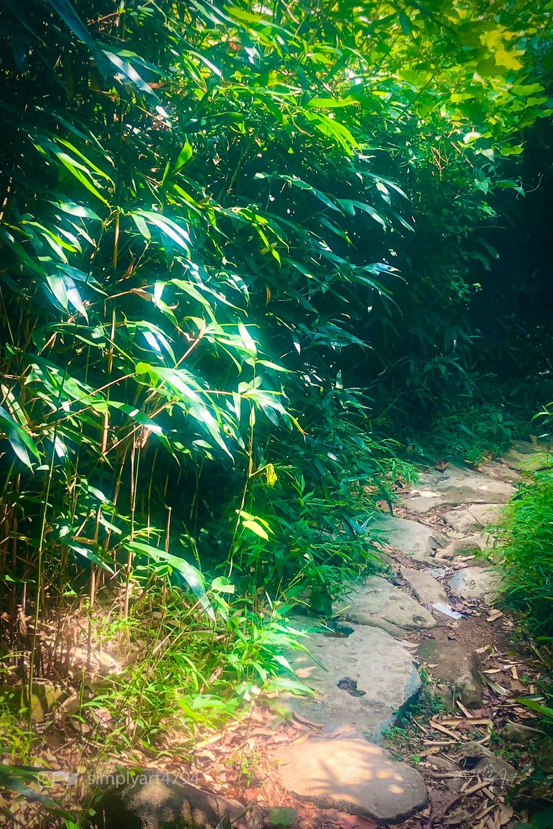 simplyart4794's tweet photo. Photography · A Path
Place@HongKong

Follow @simplyart4794 

#simplyart4794 #hongkong #countryside #wildlife 
#naturephotography #nature #macrophotography 
#trees #wildlifephotography #naturelovers 
#landscape #hiking #naturelovers https://t.co/3w04hOfZw5
