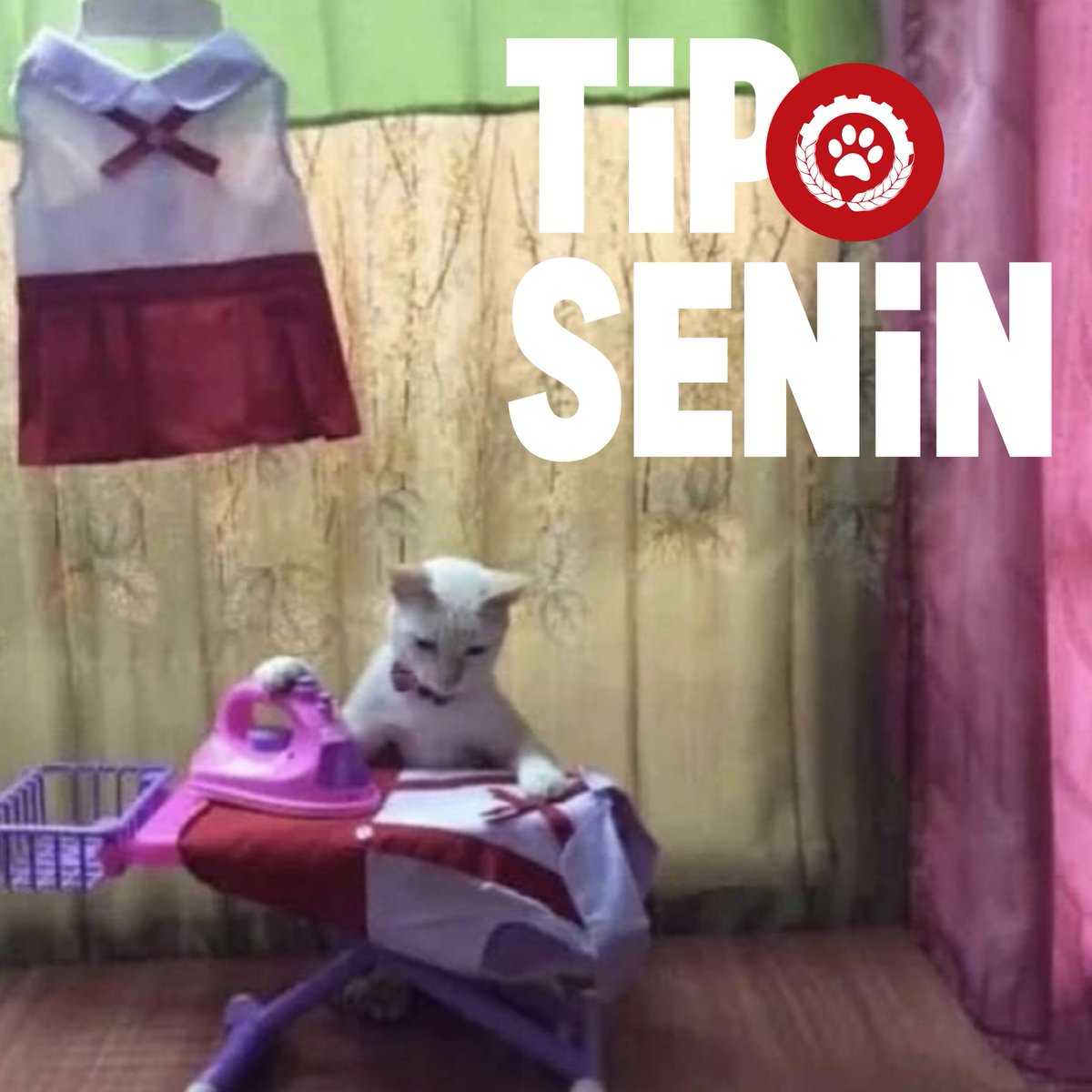 IsciPatisi's tweet photo. Emeğin sömürüsüne karşı kayıtsız kalamıyorsan #TipSenin! https://t.co/9p84NhM44p