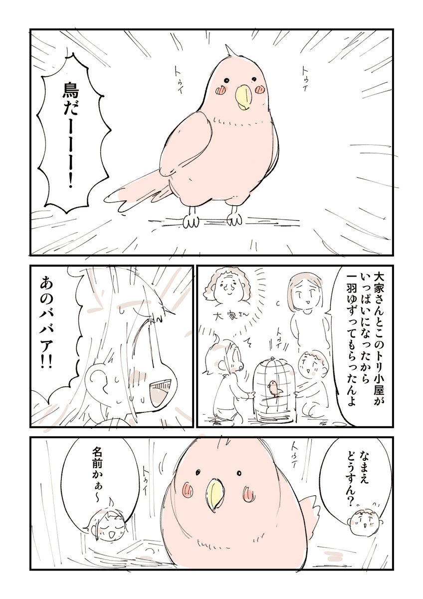 不死鳥を飼った話 1羽目 