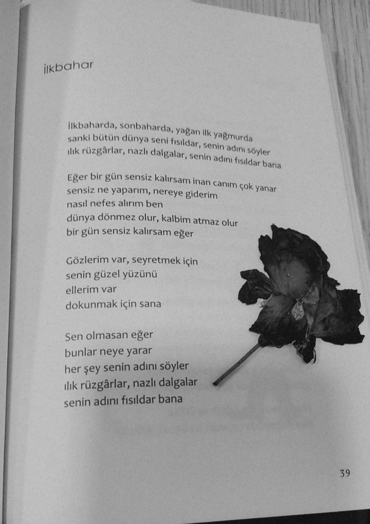 Hewo (@hewo_12) on Twitter photo 