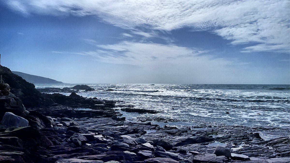 jenasaurusrex94's tweet photo. 🌊 💙 🐚 https://t.co/omHeSDgR7X