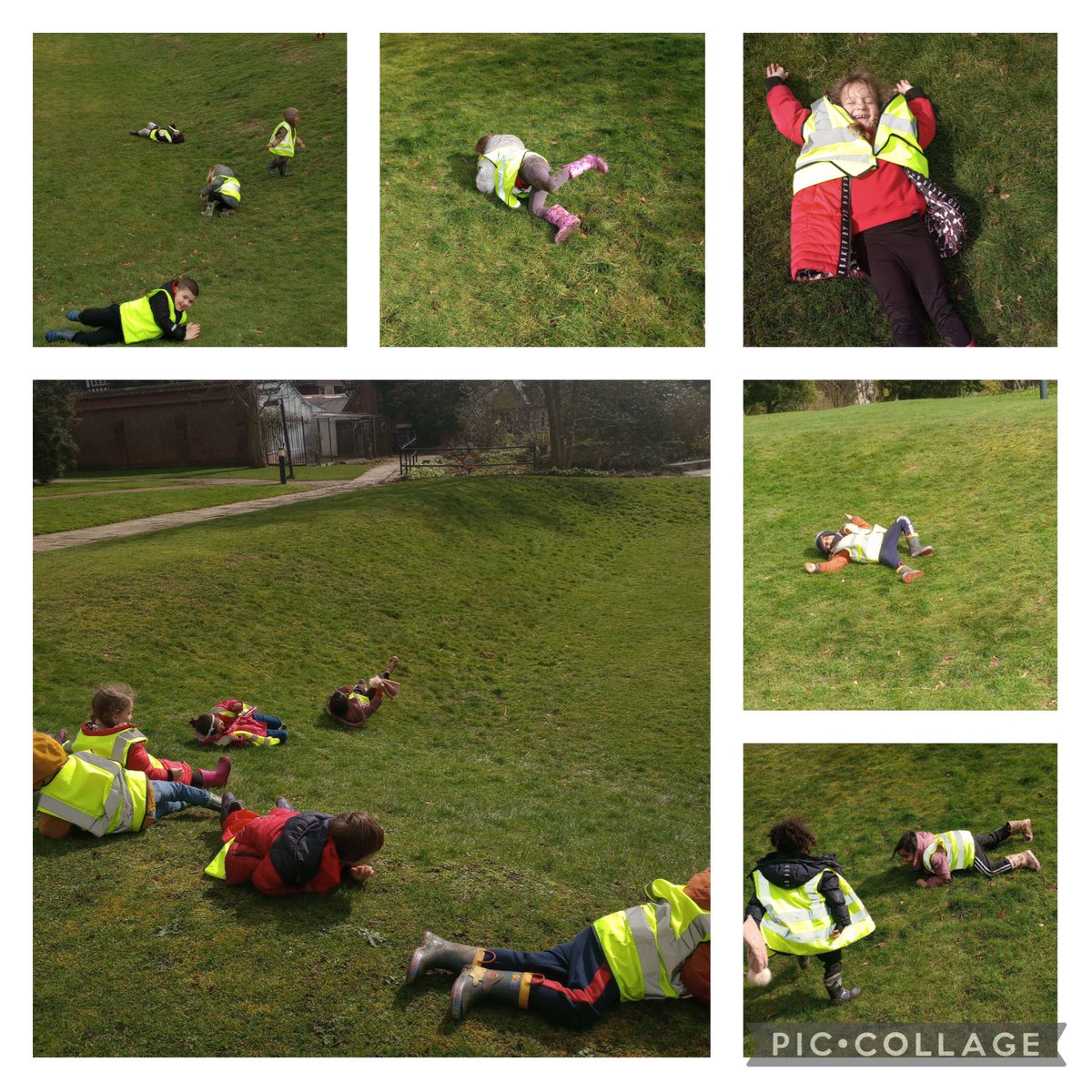 Awe and curiosity filled our day when we visited the Botanical Gardens as part of our how things grow topic this week. From cacti and fruit plants in the the glass houses to creating art with nature. We loved exploring the giant Redwood tree, friendly fish and hills @kestrelmead
