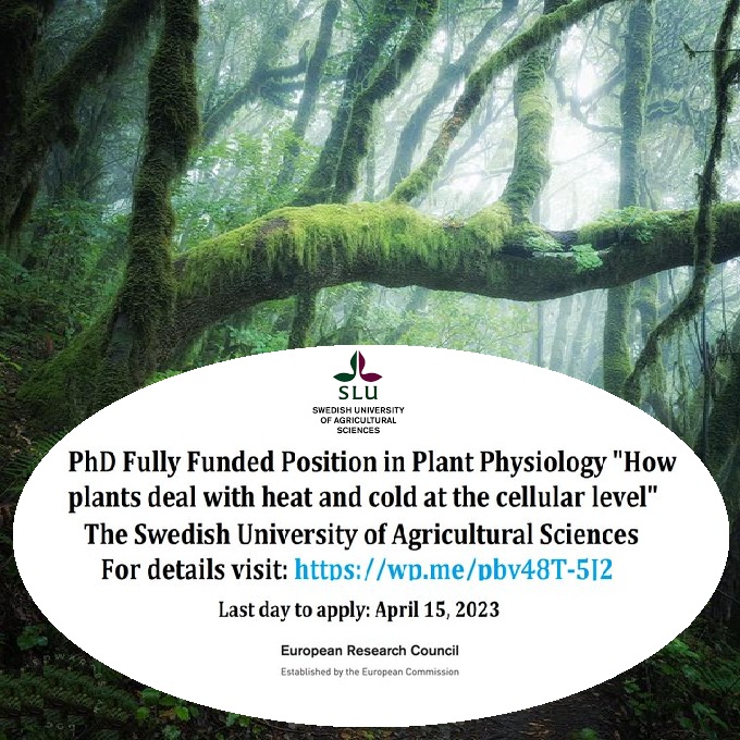 agristok's tweet image. 📌 PhD Fully Funded Position in Plant Physiology &quot;How plants deal with heat and cold at the cellular level&quot; at the Swedish University of Agricultural Sciences 🇸🇪... Please Retweet and spread the word! For details visit the link below👉 wp.me/pbv48T-5J2