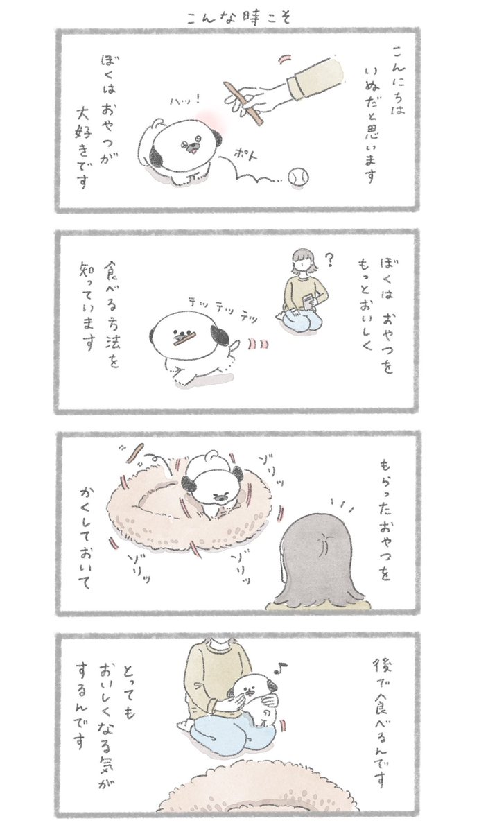 こんな時こそ
#こんにちはいぬです 