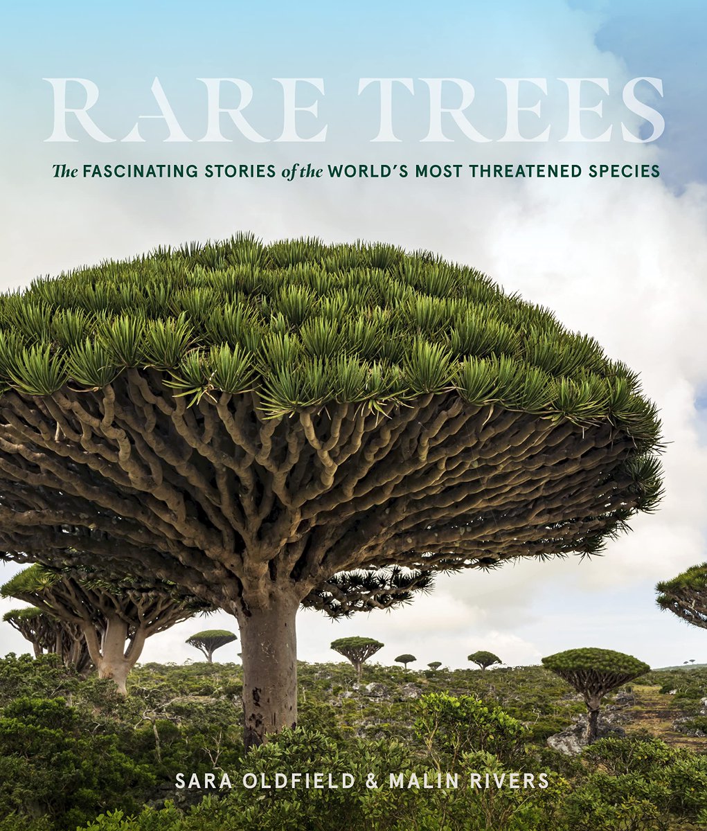 Rare Trees – discover the beauty and importance - of the world's most threatened tree species in our new book –  out next week! @sarabotanical @malinrivers <a href="/timberpress/">Timber Press</a>