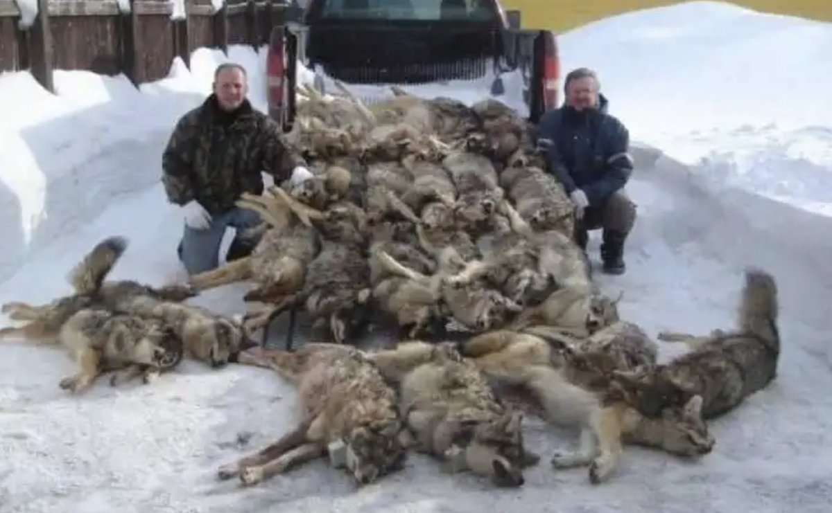 Tangwa Abilu.🌿🌏🌾🍀🍃.SDG's. tweet media