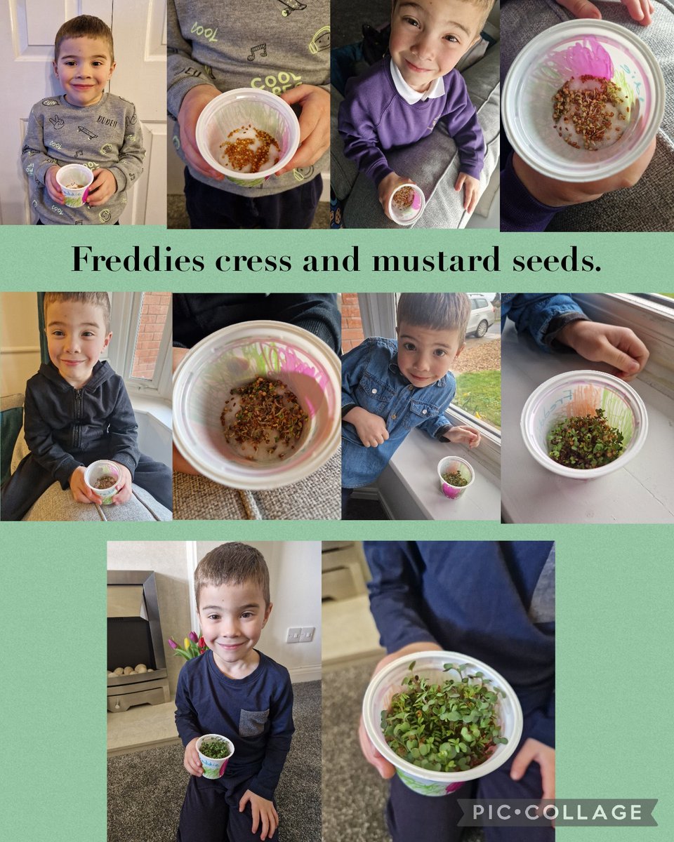 Jason Ward tweet media