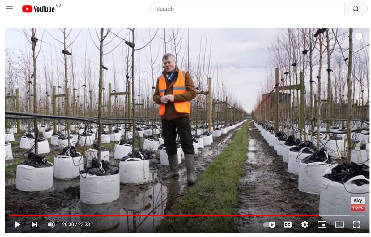 TreesforStreets's tweet photo. 🔒Capture carbon right outside your front door🏡 by sponsoring a street tree🌳
More about @treesforstreets on @SkyNews #climateshow with Tom Heap @tomheapmedia 👇
Filmed last week in #Merton SW London, where we now support🧑🤝🧑community tree sponsorship
📽️https://t.co/bJHkR1TW5L https://t.co/99cK8ucLHD