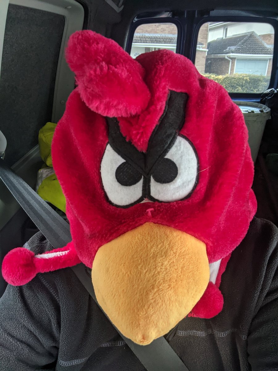 EricTorrington's tweet image. Raised my #litterpick Xappeal &amp;amp; visibility on the A419 with a #AngryBirds hat &amp;amp; face. If drivers even saw me probably think I'm a #tosser. #litterpicked over 1000 items in 1km so I think more of them are! Helping nature &amp;amp; birds do support #litterpickers @AB__Network @AngryBirds