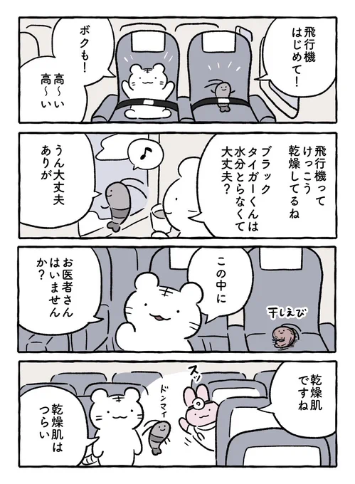 飛行機 