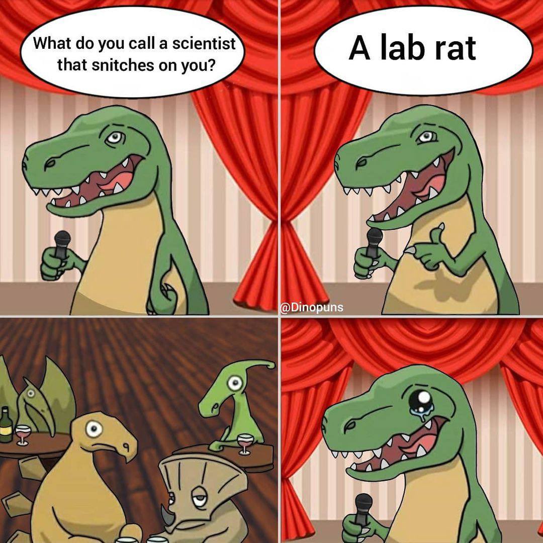 Dino Puns tweet media