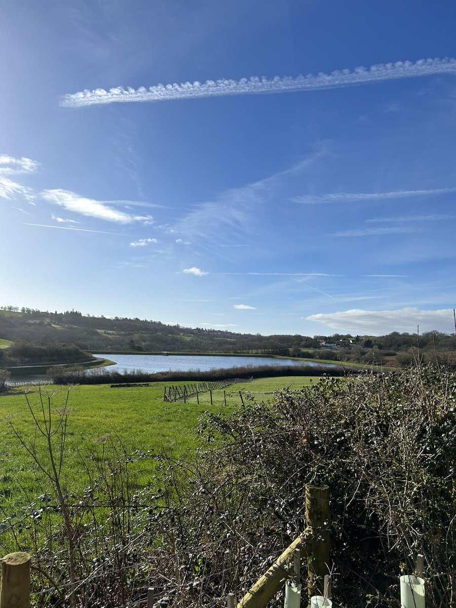 HenryandTed1's tweet photo. Sunday mornings = local walks!
Mam &amp; Dad off to @BlainaChurch in a short while https://t.co/o8zFNhhbyA