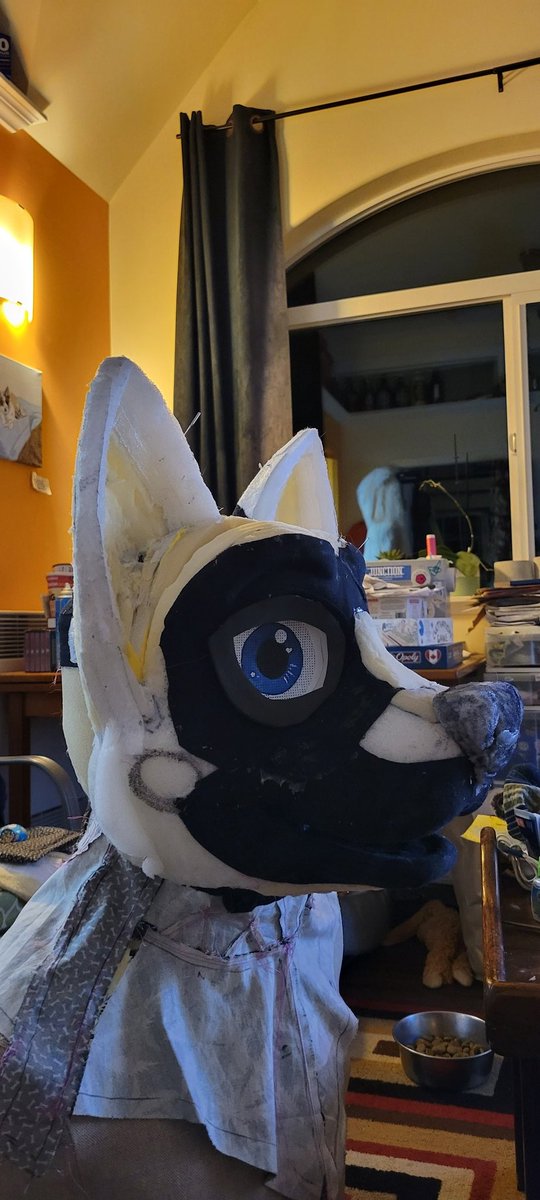 _Bilston_'s tweet photo. Made the nose, glued in the liner, finished the carve on the ears, added a bridge for the nose, and gave the eyes more shape. Definitely looking a lot better!
.
.
#furry #fursuit https://t.co/M0zHN6ajzs