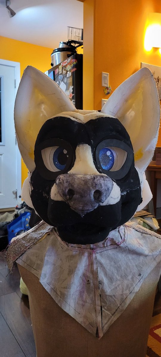 _Bilston_'s tweet photo. Made the nose, glued in the liner, finished the carve on the ears, added a bridge for the nose, and gave the eyes more shape. Definitely looking a lot better!
.
.
#furry #fursuit https://t.co/M0zHN6ajzs