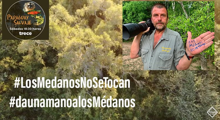 ParaguaySalvaje's tweet photo. Por favor compartí 🆘🌵
¡Amigos, nos quedan menos de 3 dias para salvar al Parque Nacional Médanos del Chaco! ⏰🙌🏻 https://t.co/T8G5DF3s1c