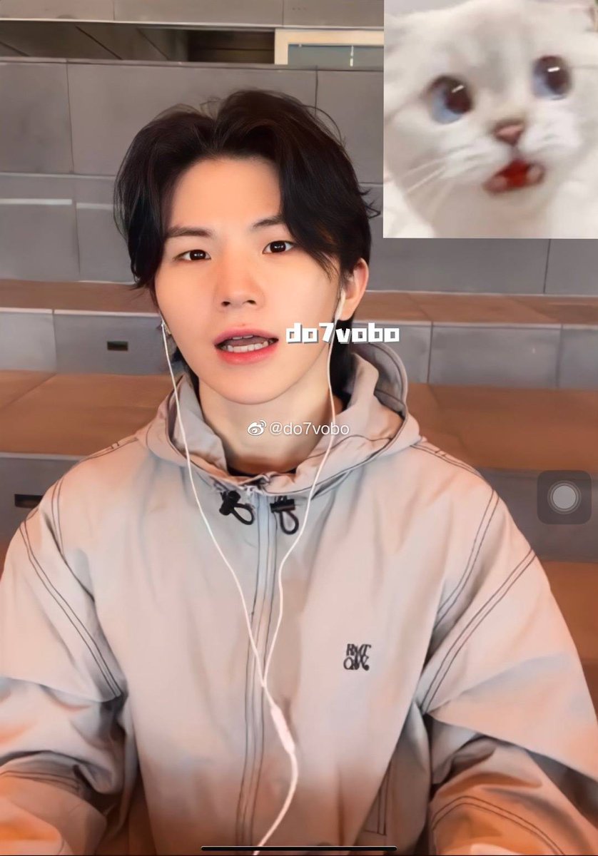 hochimochi_'s tweet photo. THE CAT MEMES PLS 😭😭😭😭 https://t.co/U0EWFbdLun