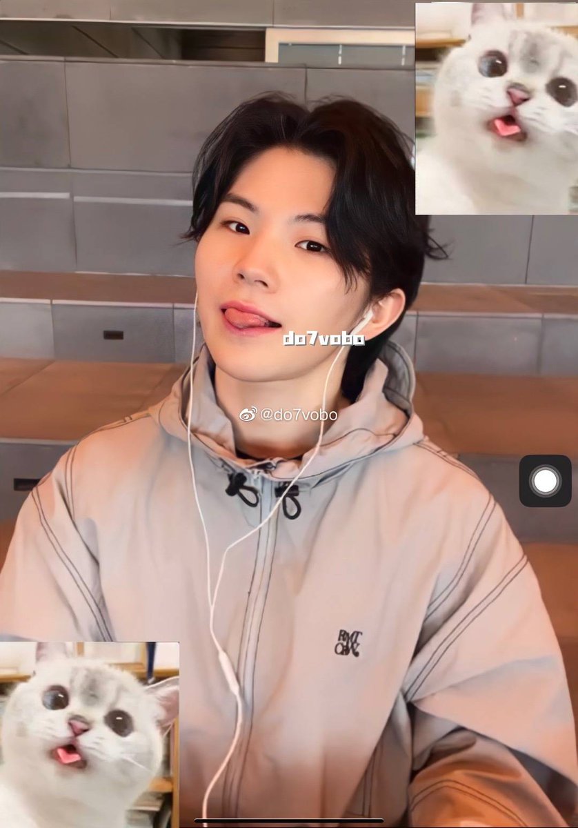 hochimochi_'s tweet photo. THE CAT MEMES PLS 😭😭😭😭 https://t.co/U0EWFbdLun