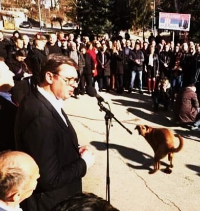 LudKoVucic's tweet photo. Ovaj se danas ponovo obraća i opet izaziva adekvatne komentare... https://t.co/apN2wonhpy