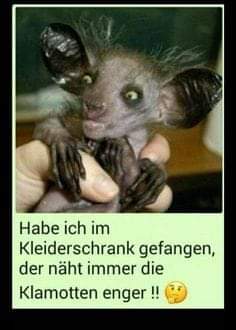 Moin Welt 😎☕🏵️