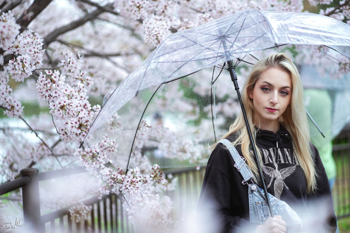 KuMi_NoBrand's tweet photo. 桜雨。 https://t.co/OihUKDSykb