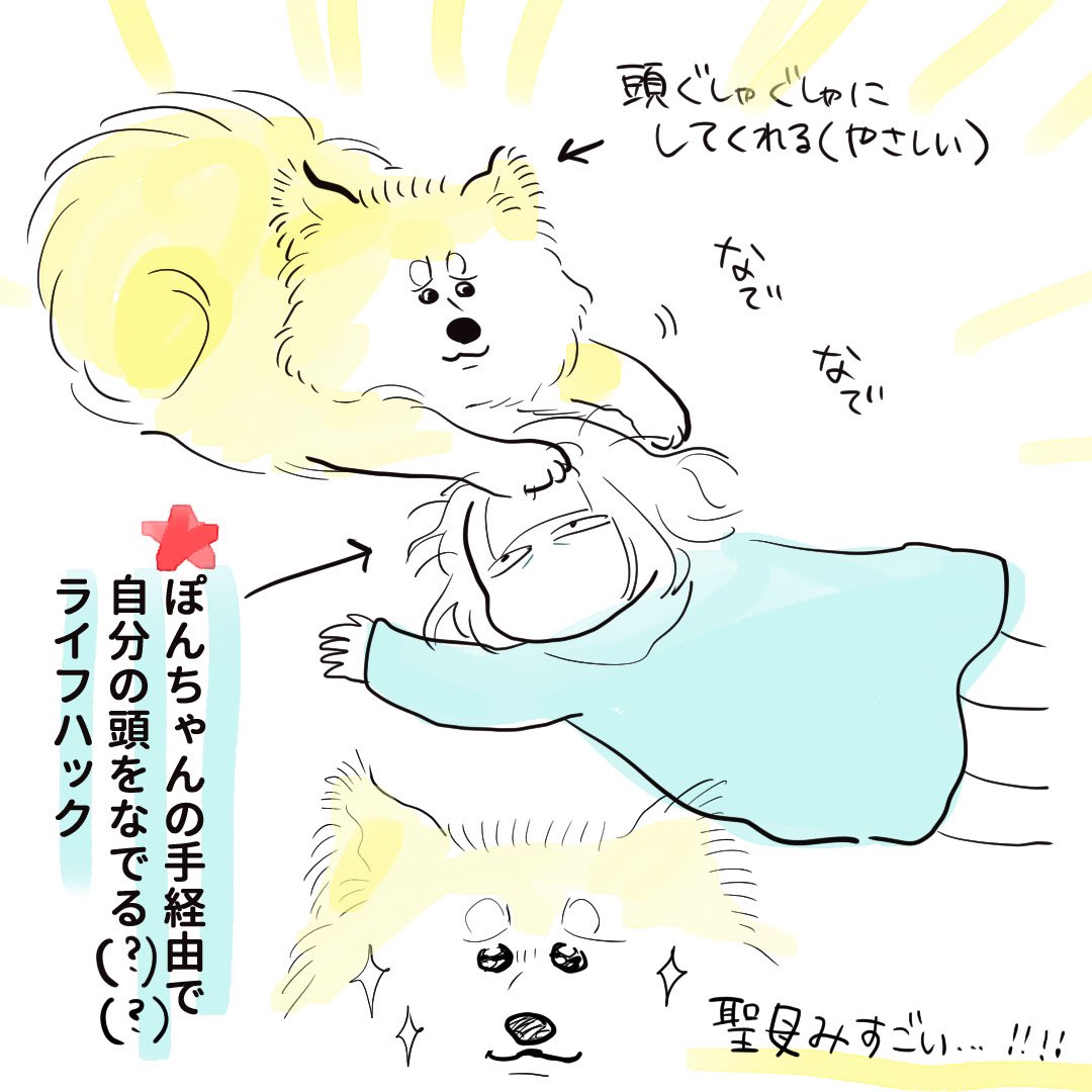 5月末までひたすら原稿描き人(んちゅ)の飼い主を励ましてくれる優しき犬よ…
好き… https://t.co/MYtdWphwhs 