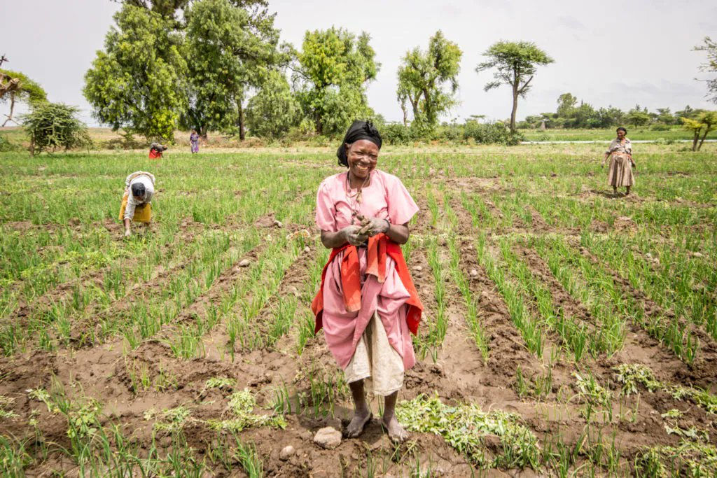#Women play a key role in achieving #FoodSecurity, generating income, & improving well-being. However, barriers often make it difficult for them to increase their productivity & income.

IFDC supports women that strengthen Africa's #AgDevelopment: ifdc.org/2023/03/08/afr…

#Gender