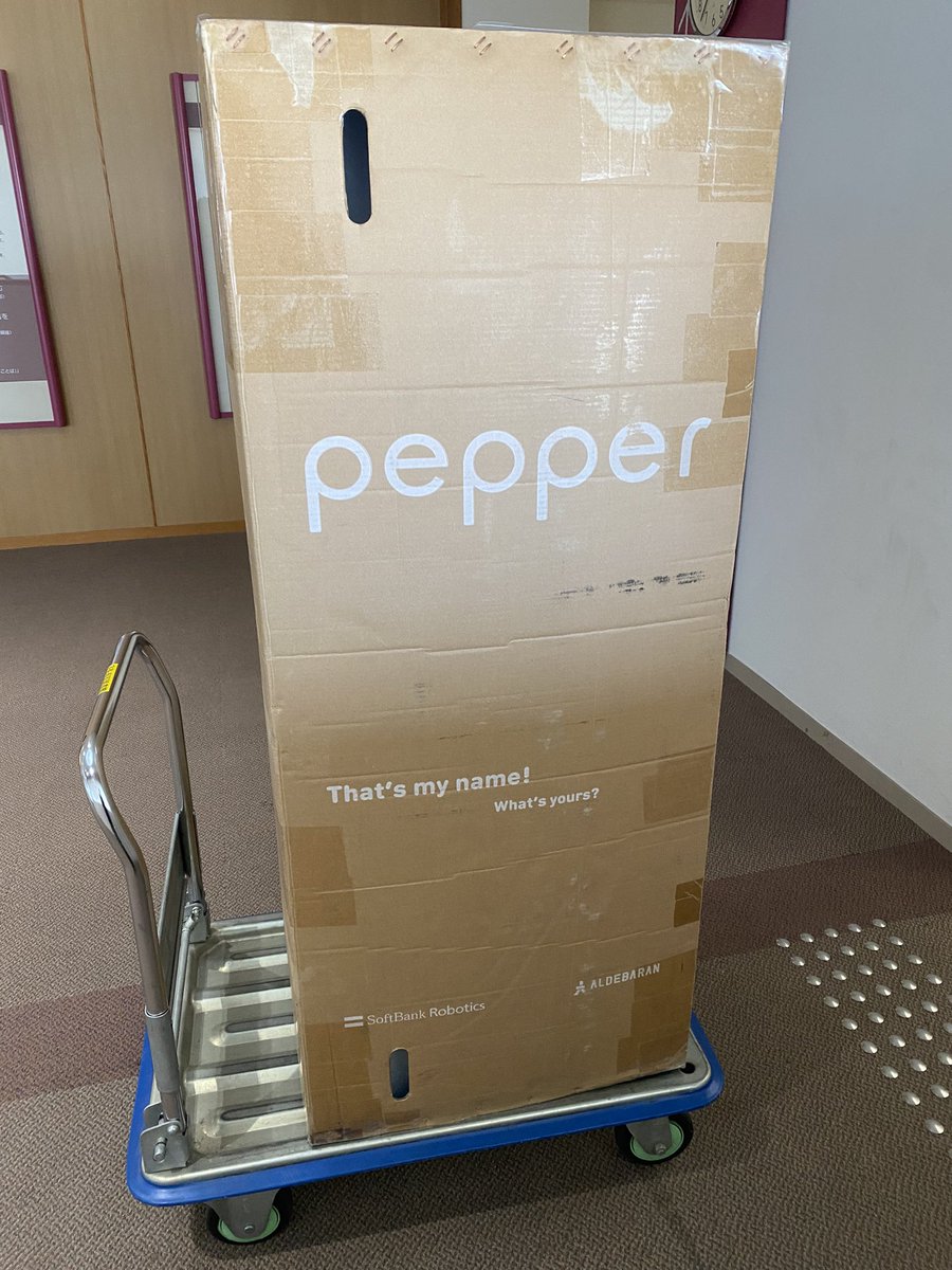 ペッパー大佐、無事にご到着🚛
スタッフ総出でこれから開梱の儀を行います📦#ペッパー　#ソフトバンクロボティクス　#ロボットうさみっと　#宇佐市
