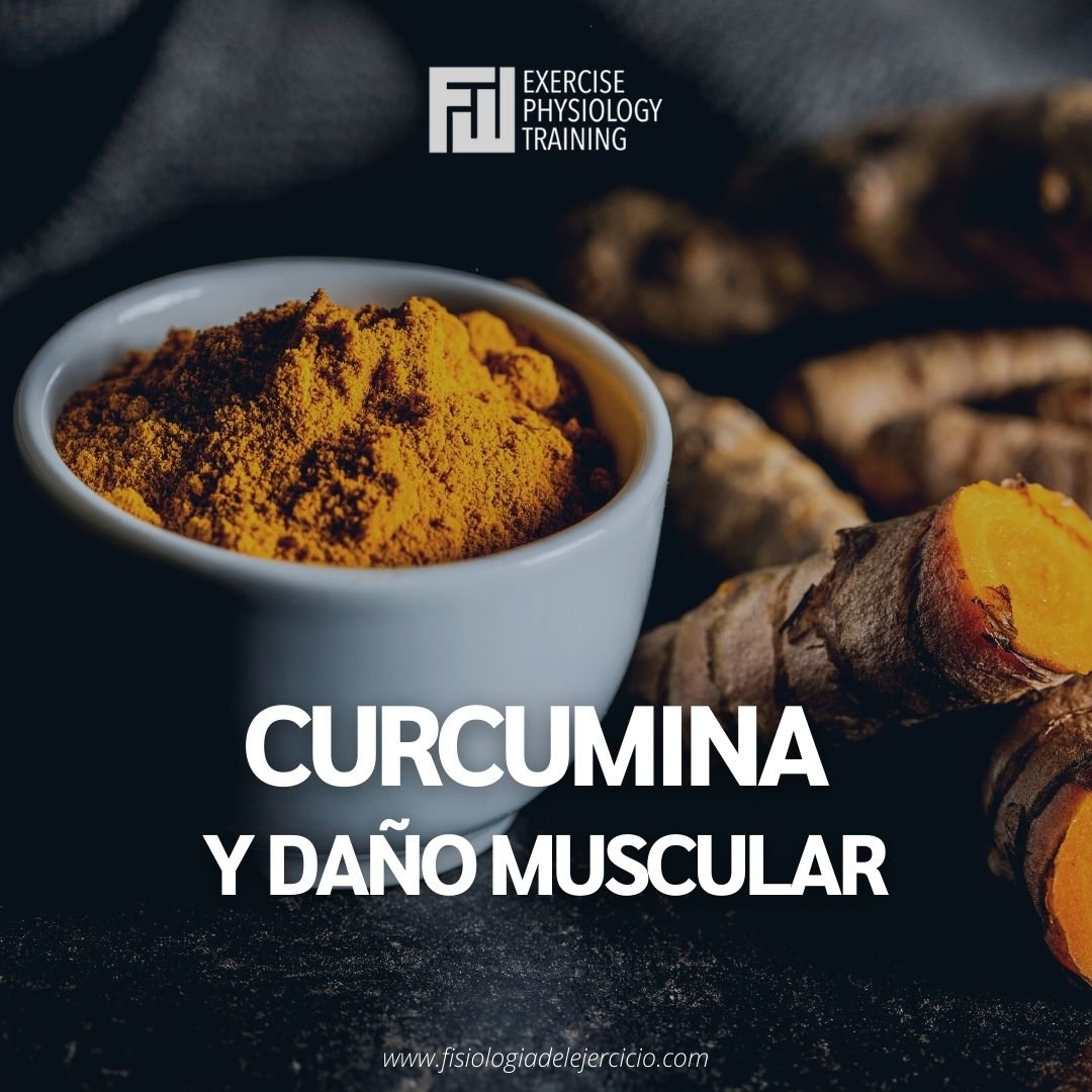 La curcumina, un polifenol natural extraído de la cúrcuma, es un potente agente antioxidante y antiinflamatorio. 

Hilo 👇
