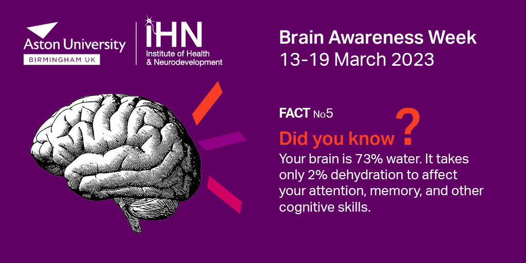 What an amazing 10 days! 

Thanks to everyone who supported our activities for #BritishScienceWeek and #BrainAwarenessWeek - including @thinktankmuseum, @AstonHLS, @AstonUniRKE, IHN members and students. 

We leave you with our final brain fact! 

 #MoleculesToMinds #TeamAston