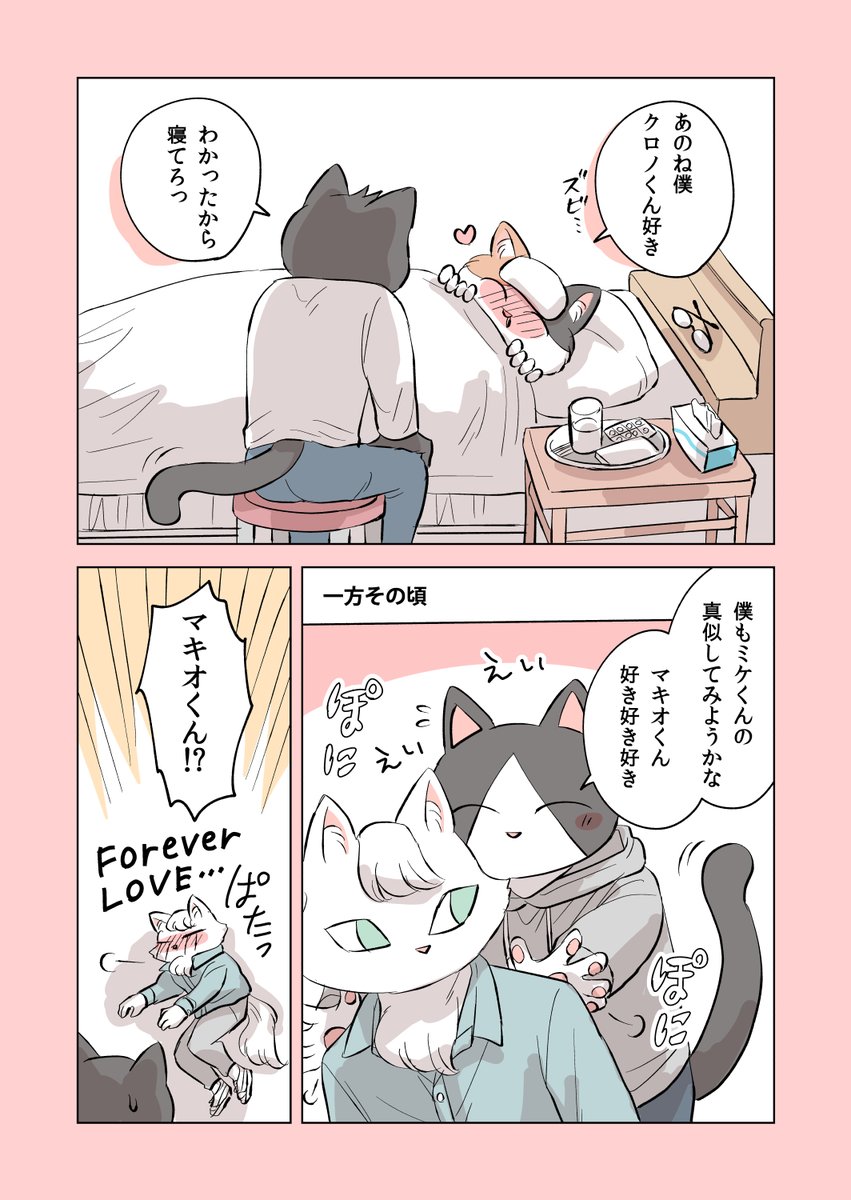 💕 #ねこにんげん 