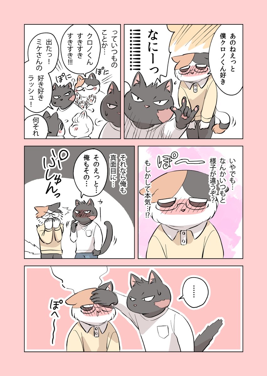 💕 #ねこにんげん 