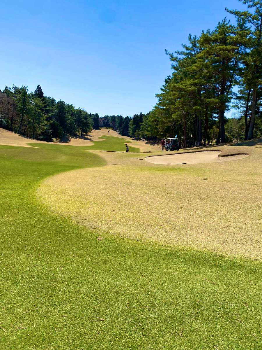 wanganpower's tweet photo. 今日はゴルフ日和でした🏌️‍♂️⛳️
スコアは大荒れでしたが、良いコースは経験値上がりますね😇
戦略的なコースに合わせられるほど上手くないので大変でした🥲
何事も��進ですね🙉
#PGM総成 https://t.co/UZIiBJuSz4