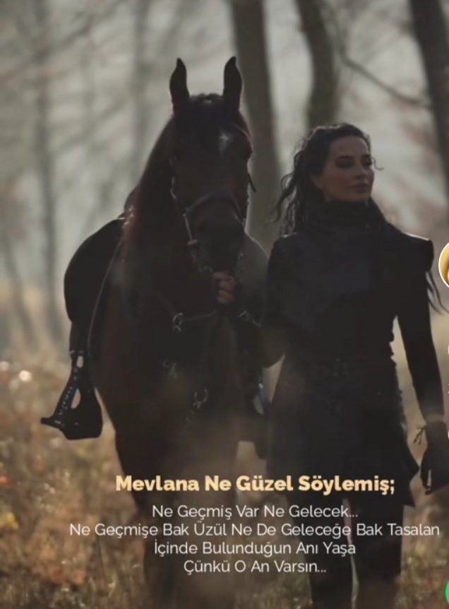 Gunun sözü olsun ...