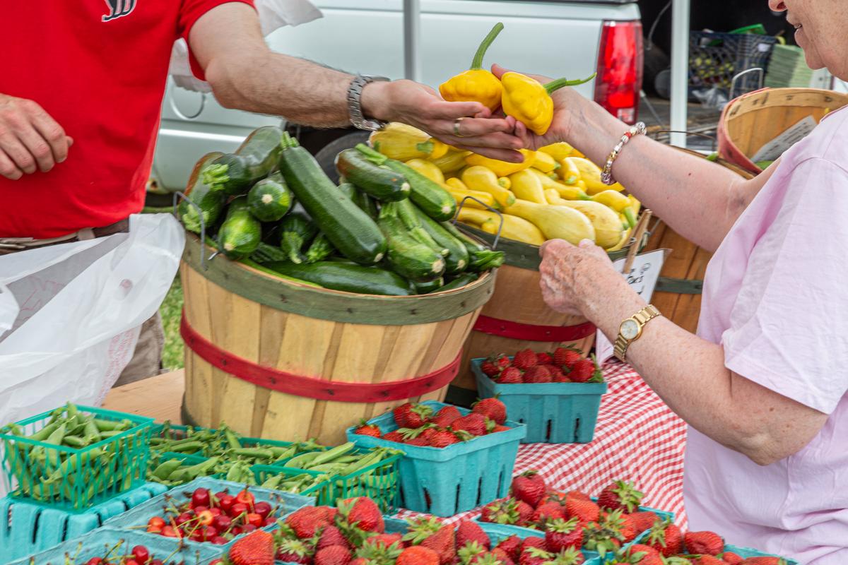 "Food safety in produce production is important for every grower no matter the size or scale." 🍎

Starting this week, Bryan Brady will be leading a two-part farm food safety plan virtual online workshop. Save your seat now >> bit.ly/3yPdSE5