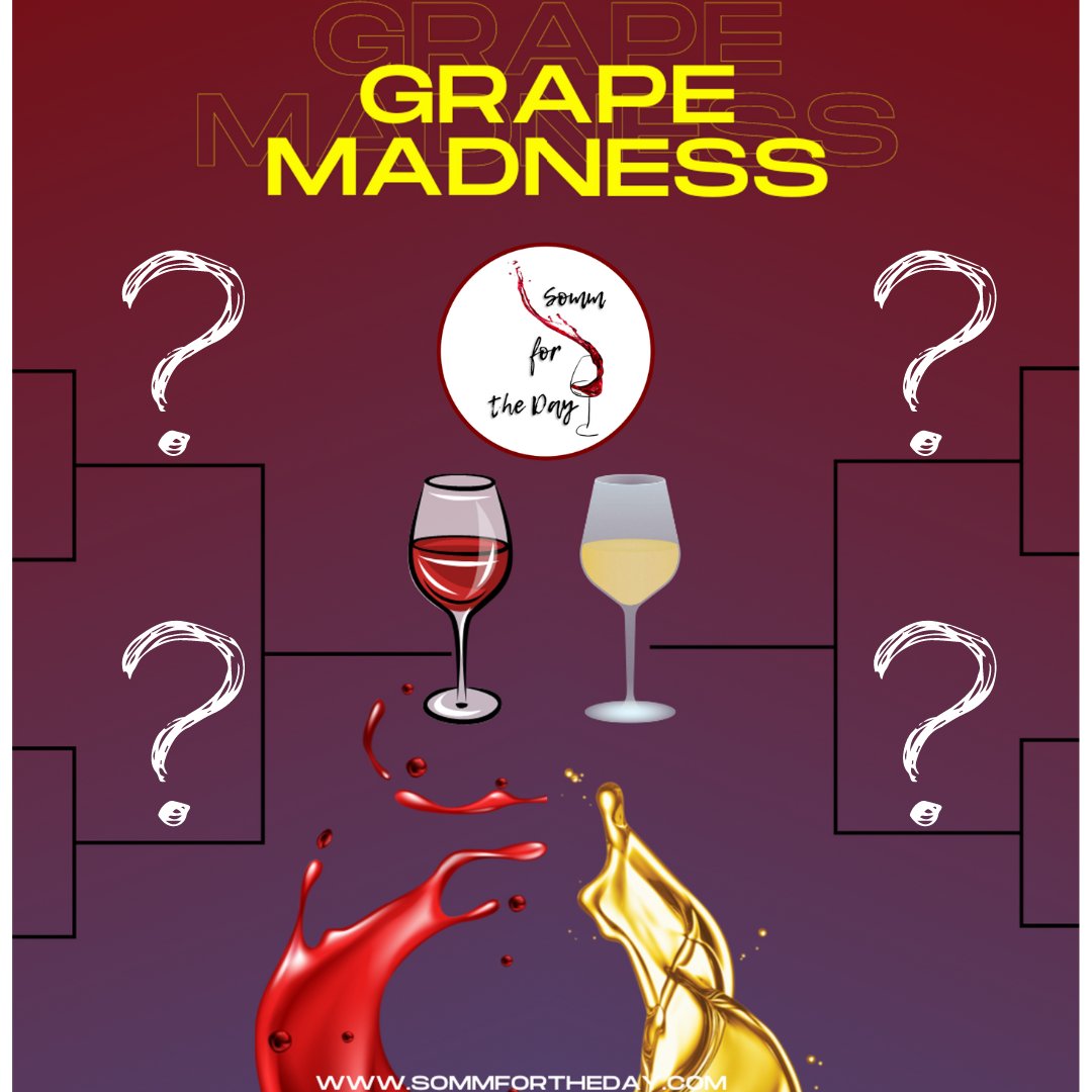 SommForTheDay's tweet photo. Join us for the next Somm for the Day Virtual Tasting! - https://t.co/WTXK1WiDSa https://t.co/jXnUBrRf1l