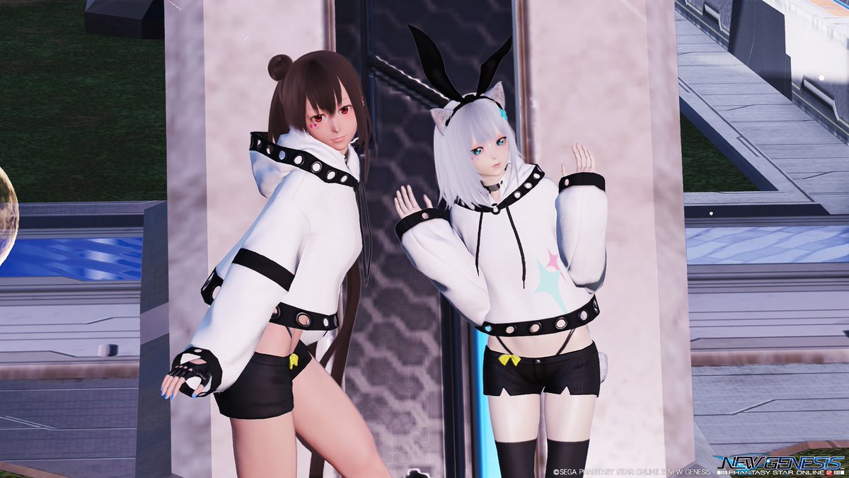 halcyon_pso2's tweet photo. 今日のぽんちゃん https://t.co/YAh3TmocHx