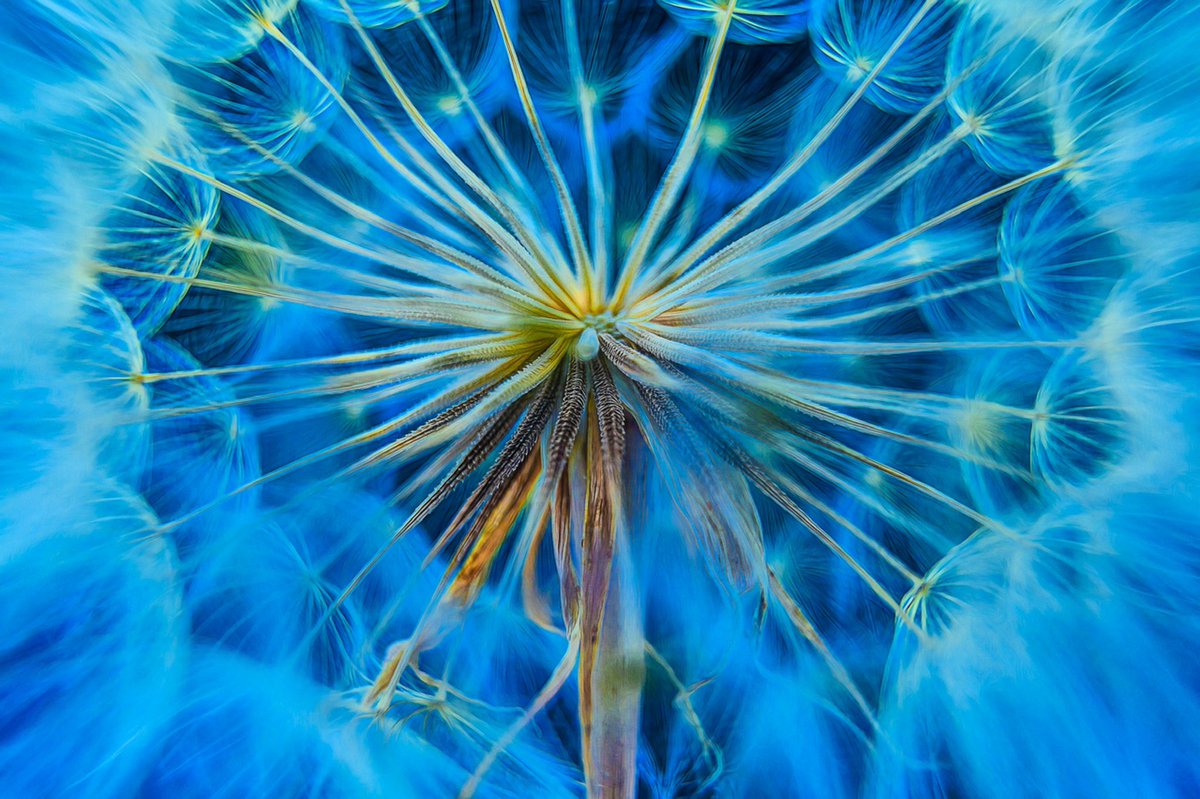 RickCotter3's tweet photo. @MickMcC_Photos π―π―ππ
#PhotographyTalksBlue https://t.co/HqszuUJfC1