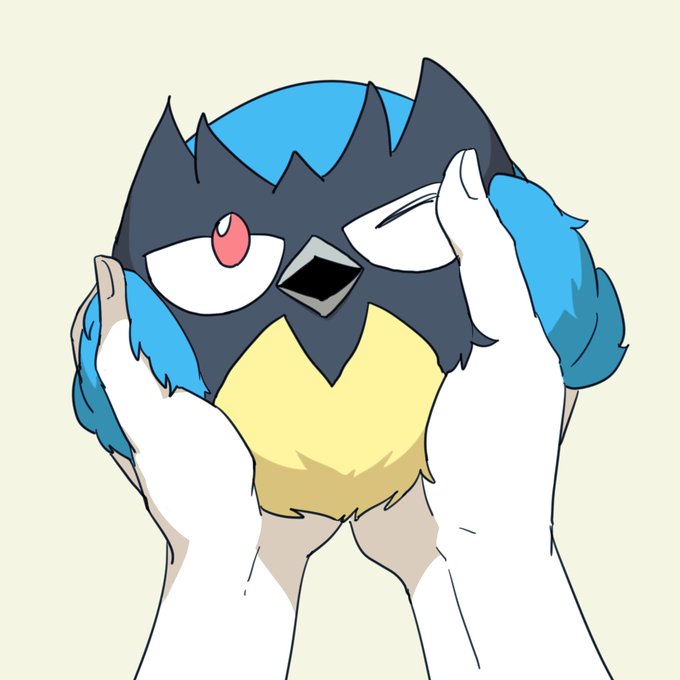 ココガラもちもち 