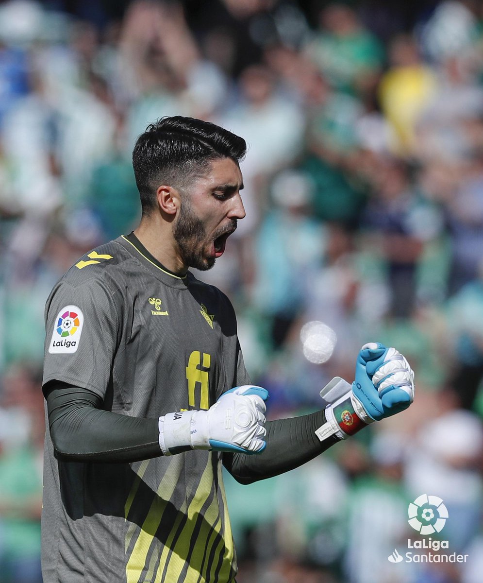 LaLiga's tweet photo. 🗣💪💚 ¡RT si eres del @RealBetis y te sientes como Rui Silva!

#RealBetisRCDMallorca 
#LaLigaSantander https://t.co/br8M2YbCcL