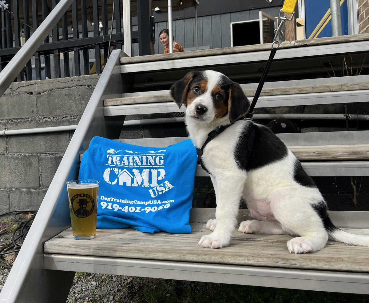 DTC_USA's tweet photo. Dog Brewery Etiquette 🍻class at Lonerider Wake Forest 3/26 11:30 am -register now! Learn how to teach your pup how to relax in a social setting so you can enjoy a beer or two 🍻https://t.co/TtjUvlBwK6 @WRALOutandAbout @trianglexplorer @loneriderbeer https://t.co/Ig9LQhvDVa