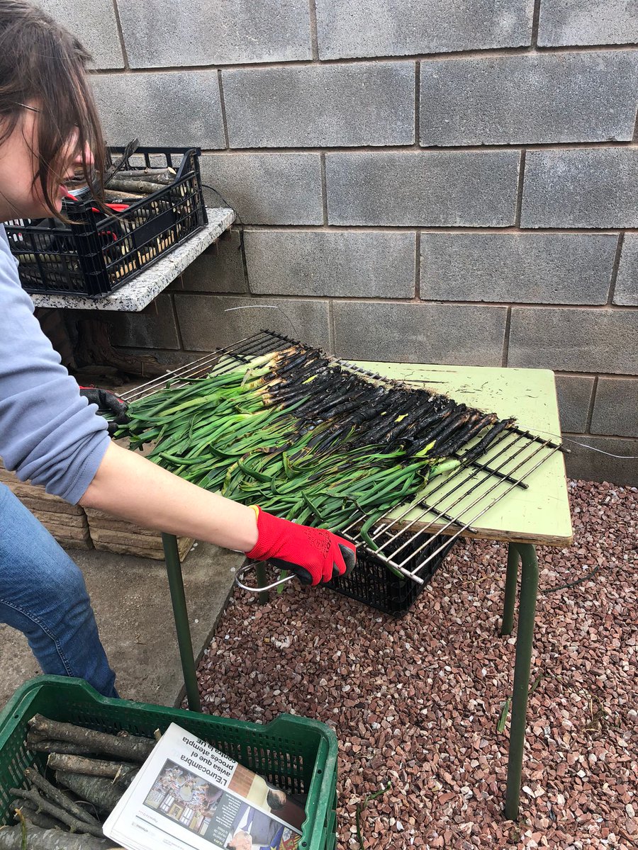 Yesterday we had our SelOxCat Calçotada. It was an amazing day, full of fun and nice food. #teamwork #funmoments