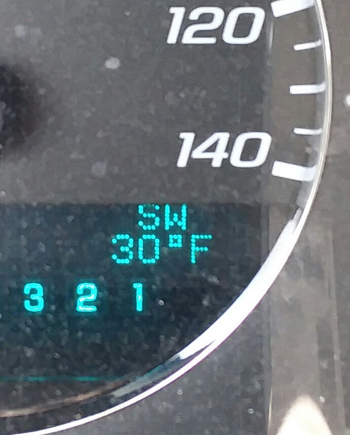 Nashville trees are protesting today. This temp is a devastating blow towards their Leap Forward to Spring campaign. #Nashville