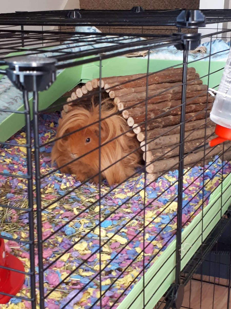 Mariana Lopez tweet media