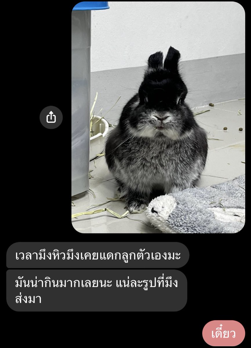 #/หมอกินคนไข้