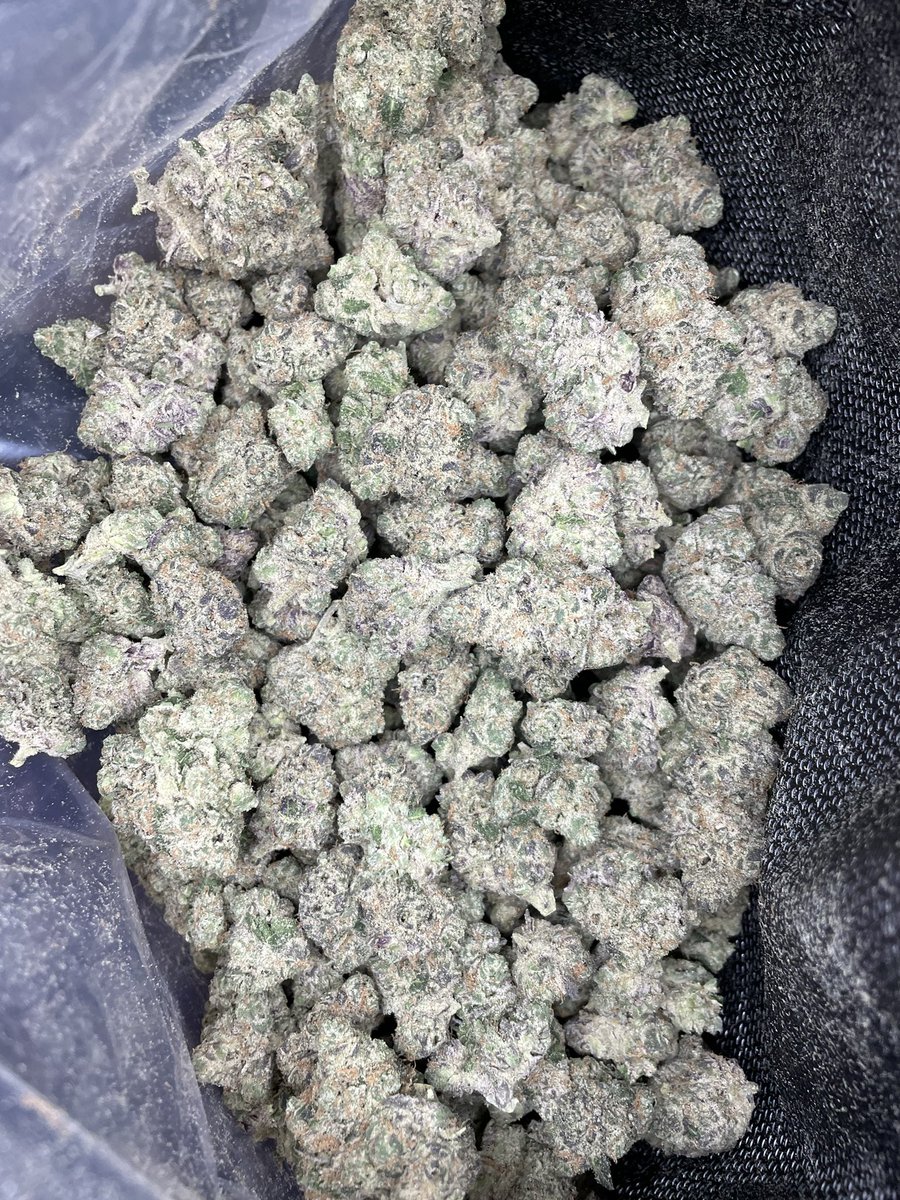 HoustonPlugGas's tweet image. New pack is in! This da Red Velvet Strain. Sweet Candy nose, straight gas. ⛽️⛽️🔥#houstonplug #Houstonmeets #springplug #htx #houstonmeetup #houstongas #htxplug #htxgas #cypressplug #conroeplug #houstonfreaks #nfsw