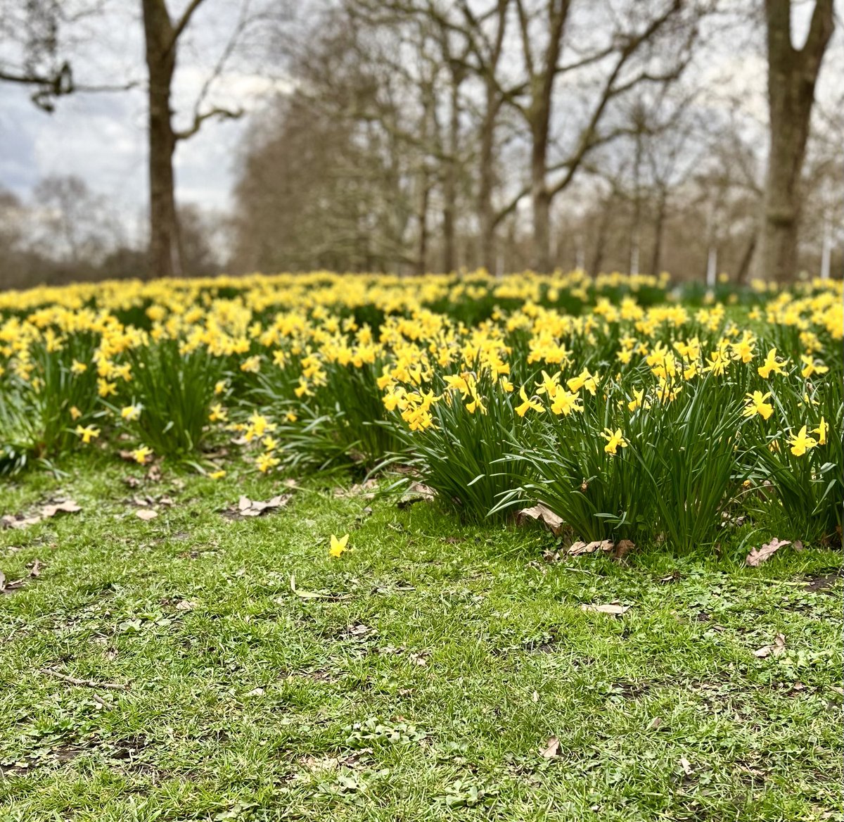 There's a feeling of spring in the air here in London.