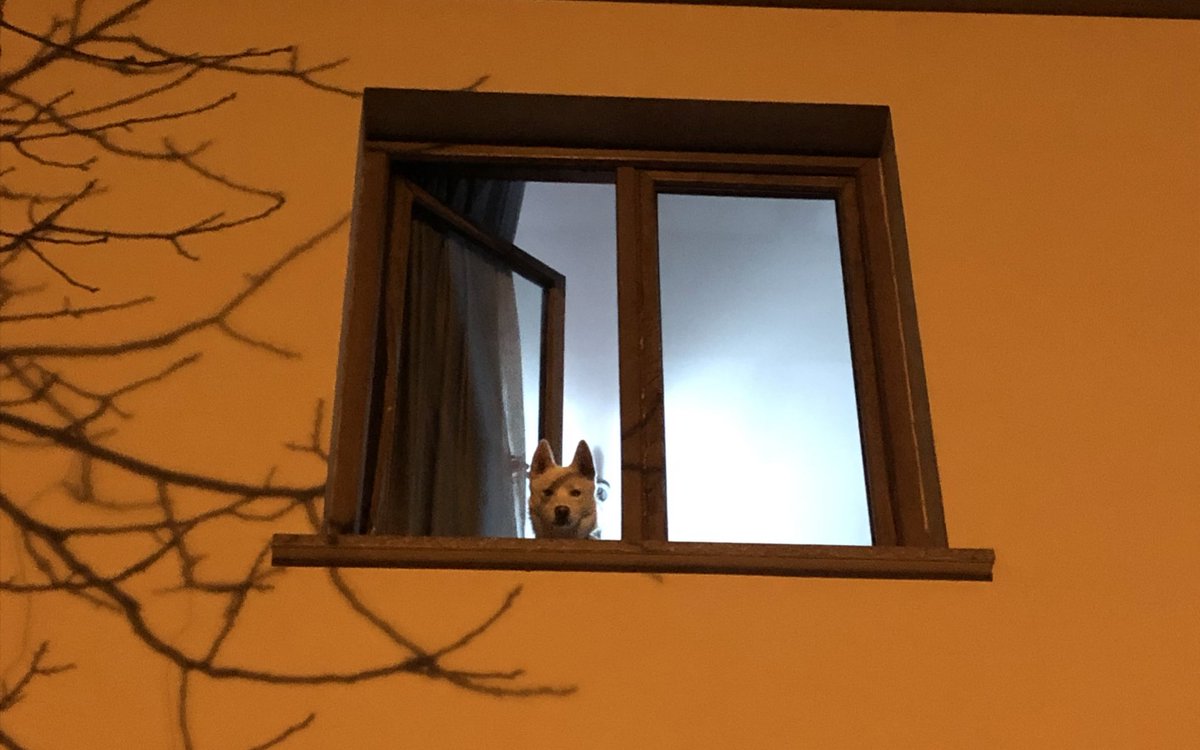 Benim big boy🫶🏻