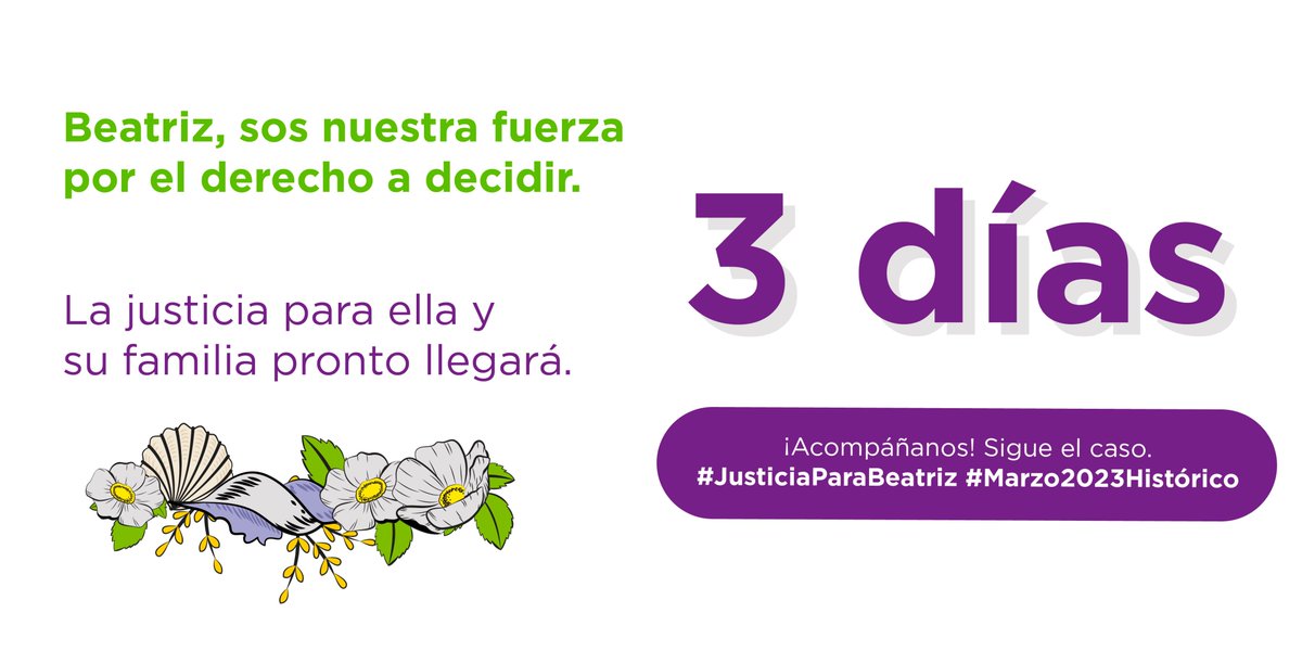 BeatrizvsES's tweet photo. La cuenta regresiva para obtener justicia para Beatriz y su familia está en marcha. ⌛

Sigamos juntas este caso en la @CorteIDH  👩🏽‍💻 y exijamos 🪧 la protección de los derechos sexuales y reproductivos de las mujeres salvadoreñas. 🏥🌎

#JusticiaParaBeatriz https://t.co/lgxF9Jy3Rh