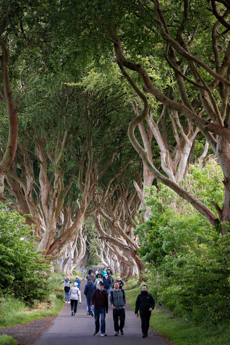 1993, Harbour Pub, violines y ese viejito cantando. Banshees of Portrush. Me enamoré de Irlanda del Norte con su peor cara y la amo igual ahora que está más viva y bella. Me acuerdo de la canción como si fuera ayer.📸de cine de Luis Davilla para <a href="/mgzine/">Magazine Lifestyle</a>  lavanguardia.com/magazine/viaje…