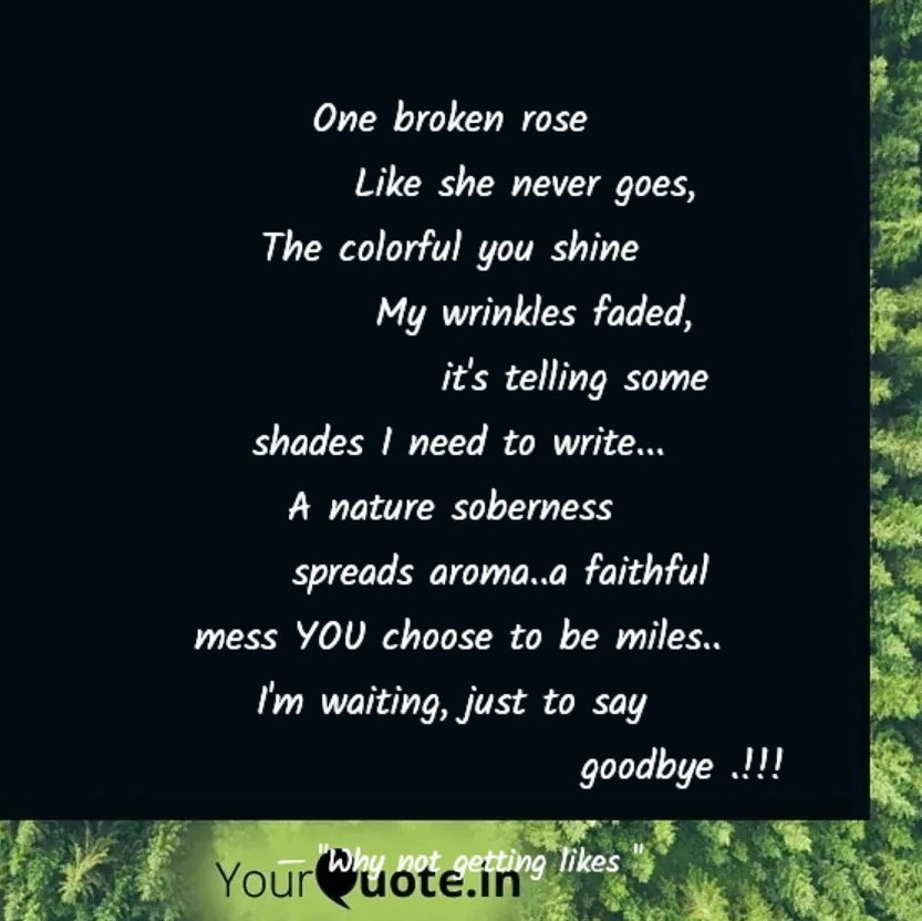 dirad_1's tweet photo. #NewProfilePic #WritingCommunity #poem #writinglife #writing #feeling @Twitter #words #poetry #poetrycommunity #love #DailyQuotes #yourquote #quoteoftheday #artistic #passion2023 #passionforfuture #writinglove #rain #Emotions
#writers #Writer #RYTHEM #Nothing #englishwords https://t.co/Kyz9eKtOnF